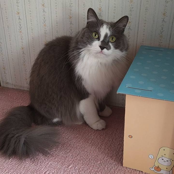 A882a19e 43de 46ce 9fdb a56f20364ea4 1769308514465