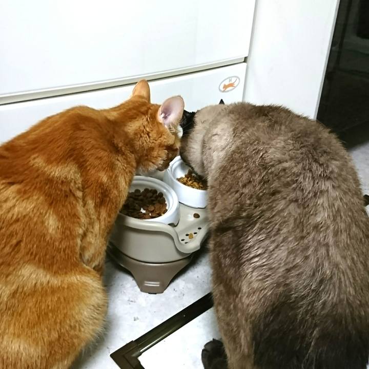 A882b2b1 3789 4b2e bf5c 59b19823a74f 1528670919168