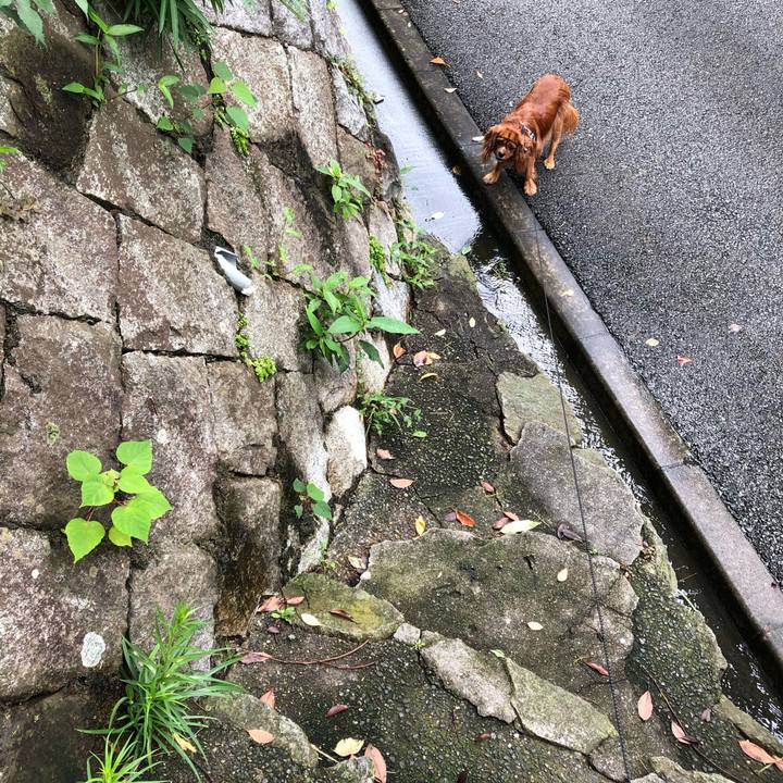 A882c72c abf7 40cb a7da faec5a953a08 1594511012508