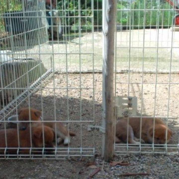 A882ef51 cde0 4daa 8ba5 f8eaaca13cde 1507865550364