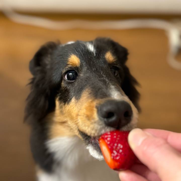 A8831d34 4cd4 4d8b b4ca 895ea8580882 1732643086128