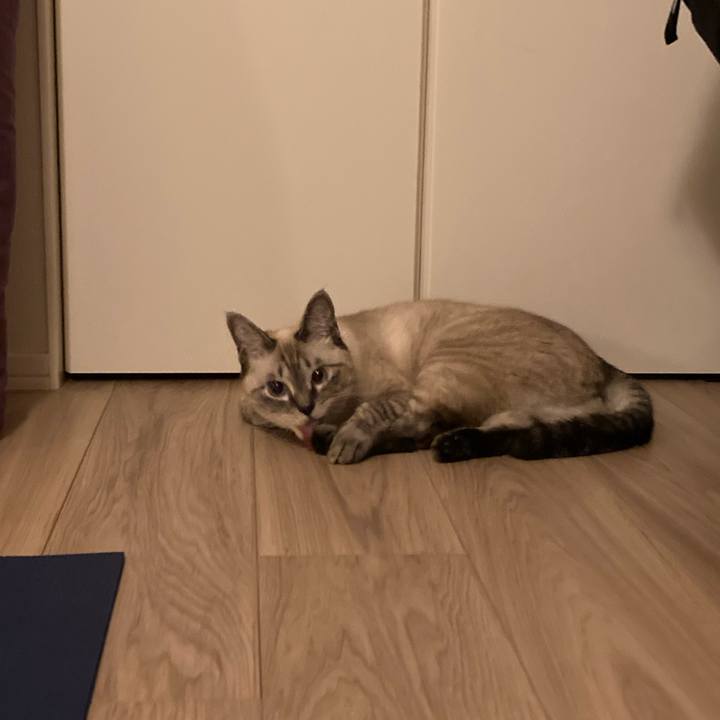 A88339bc e729 4324 85ef d229cab13ad2 1633948468969