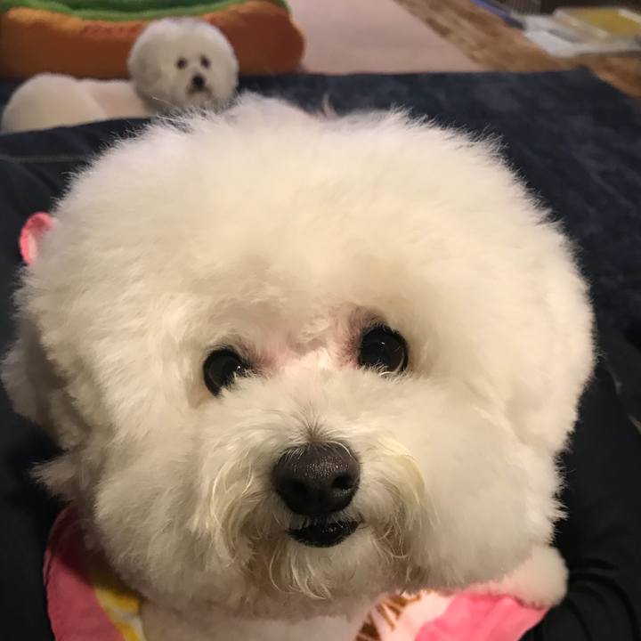 A8837b76 5c9a 49e5 a32a dfb5d424a8ca 1543050079283