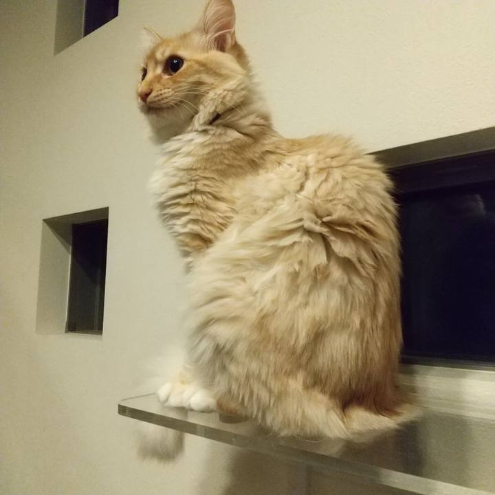 A88395e3 57cc 4e5f a598 e57d00608d4d 1617797316662