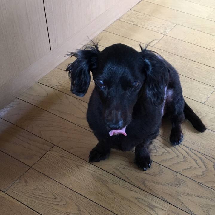 A883a755 dfcc 4db3 8445 de2045acf5b1 1553208432854