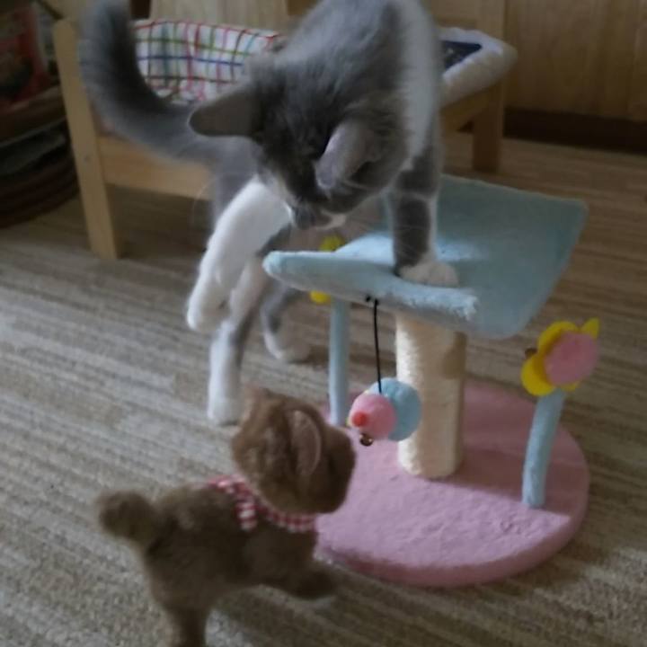 A883cad4 e876 421e befc edfd7f0473aa 1565587068049