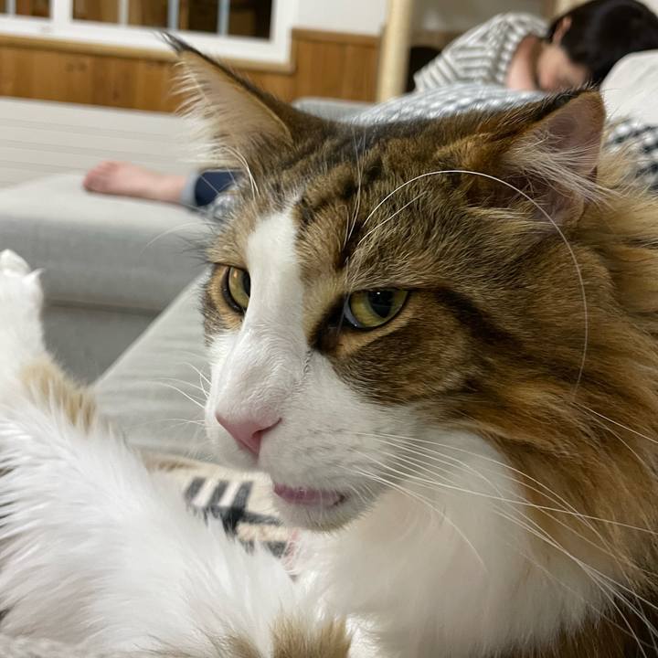 A883e606 3c9d 467f 857d f60da518daca 1665659863724