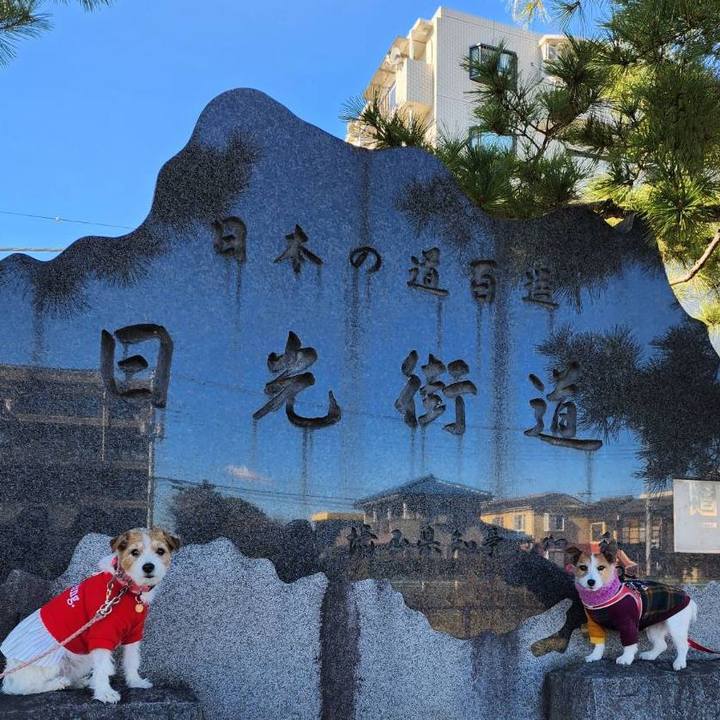 A8842bf0 d380 495d a06f 5c6127eaa095 1704712758637