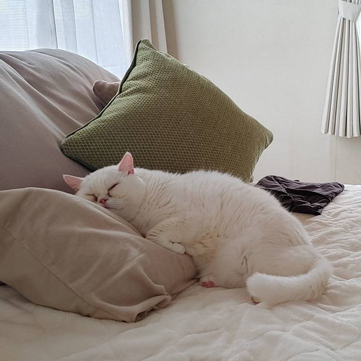 A8843c81 feab 4ec1 8dd7 7689169d16a9 1665212066625