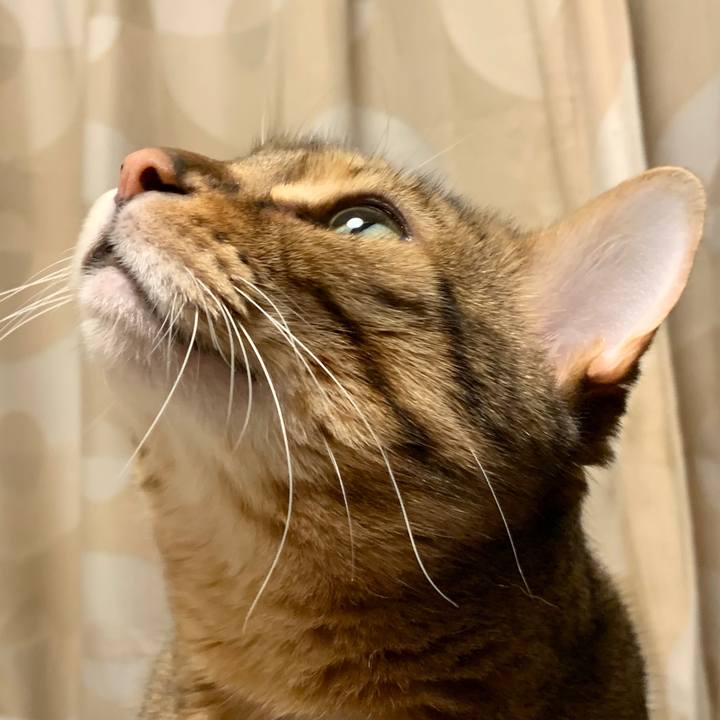 A8844d30 6485 4d07 a4e7 84f835808371 1587166224824