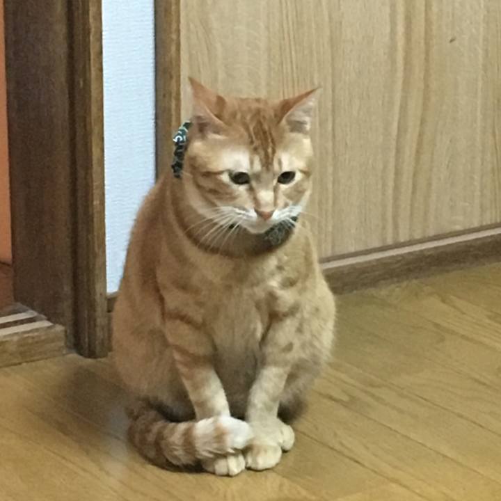 A8846aae 8693 486e b642 748015b92ff2 1536922093122