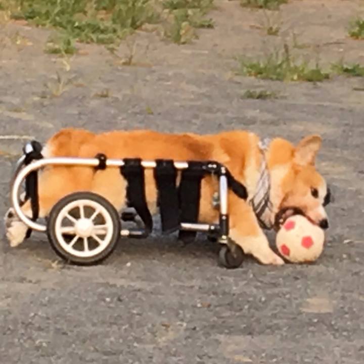 A8847312 f62a 4da3 9f92 6df601db8f27 1565606158892