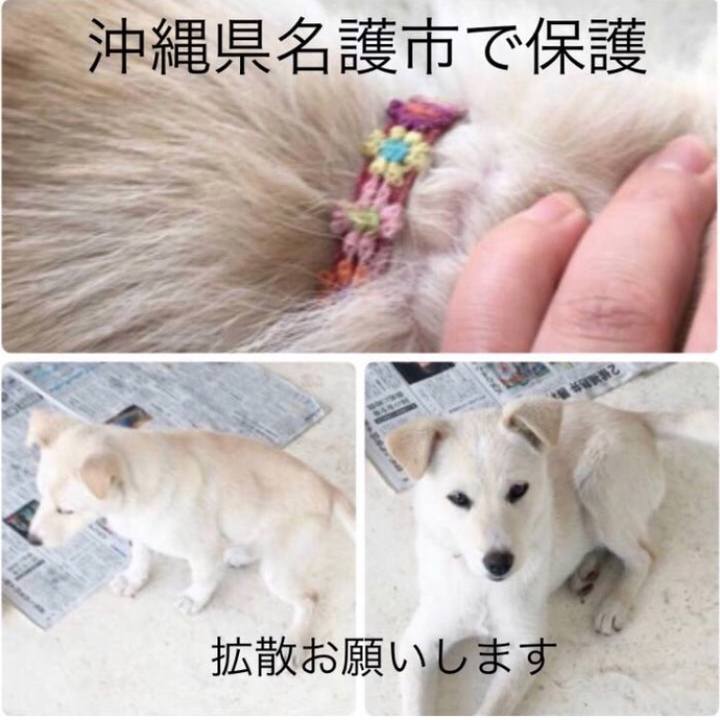 A8847ee6 5342 45a3 bc5c 827c3c39d815 1518317941462