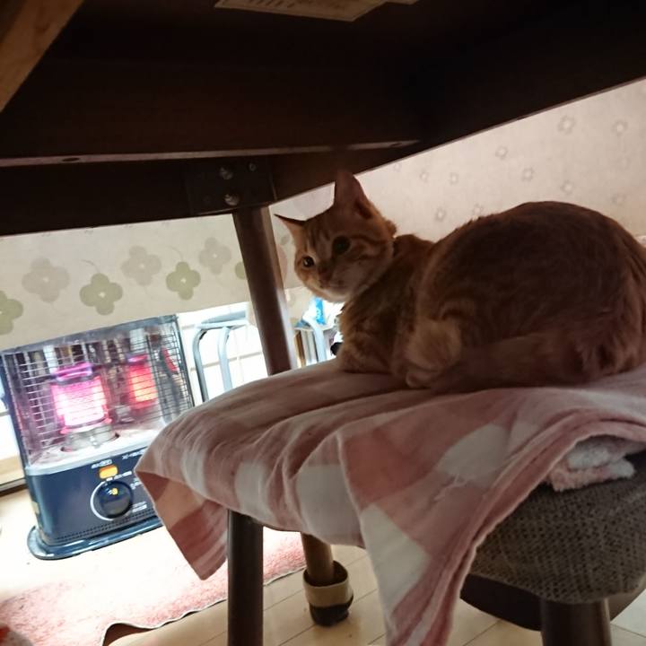 A8848322 b6dd 441e a481 c5bfe211f625 1638391639808