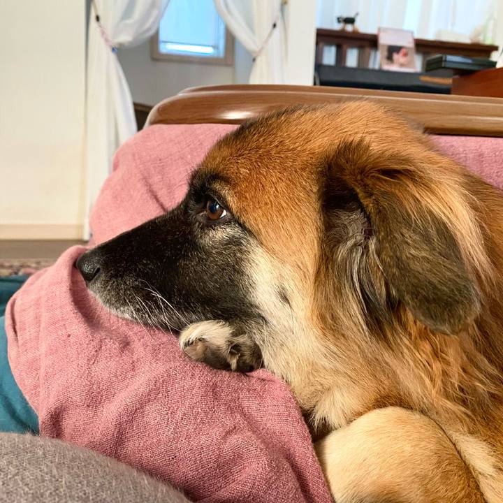 A884c4ae 1118 4e24 8876 f0b288d63796 1763521710407