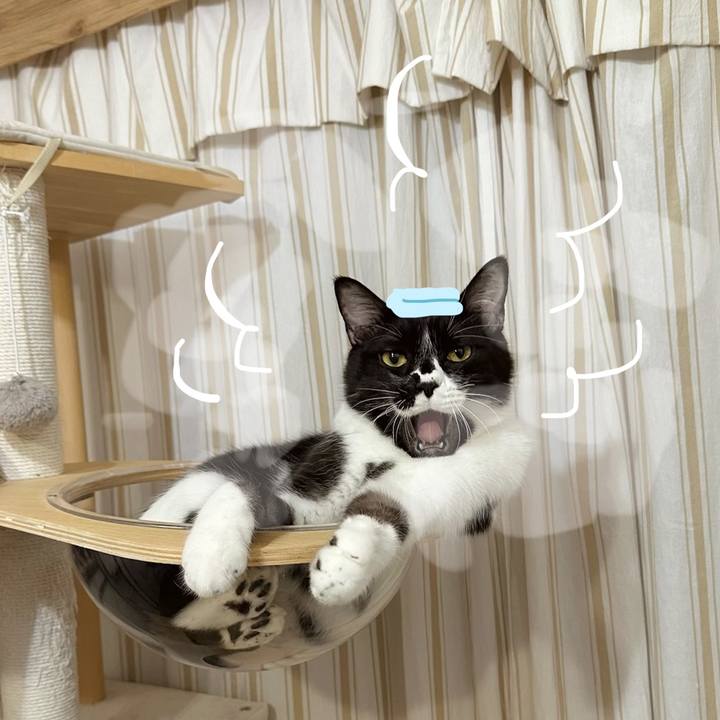 A8852f76 bdd3 4bca 85c7 c38be6fb8673 1762522896234