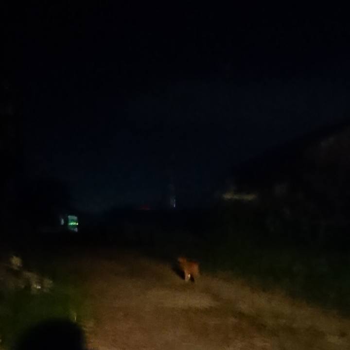 A8854db8 42fd 4ec6 9465 3cd1098cd0e6 1597490126144