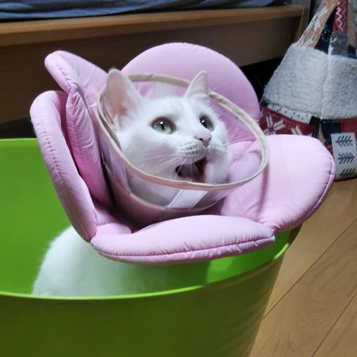 A88592e6 a8dc 4d7b a3a2 d33159927e5c 1693218690903