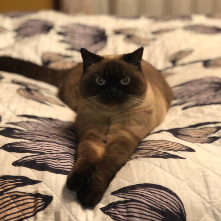 A885a310 0979 4429 aae4 629db63002ec 1612871075953