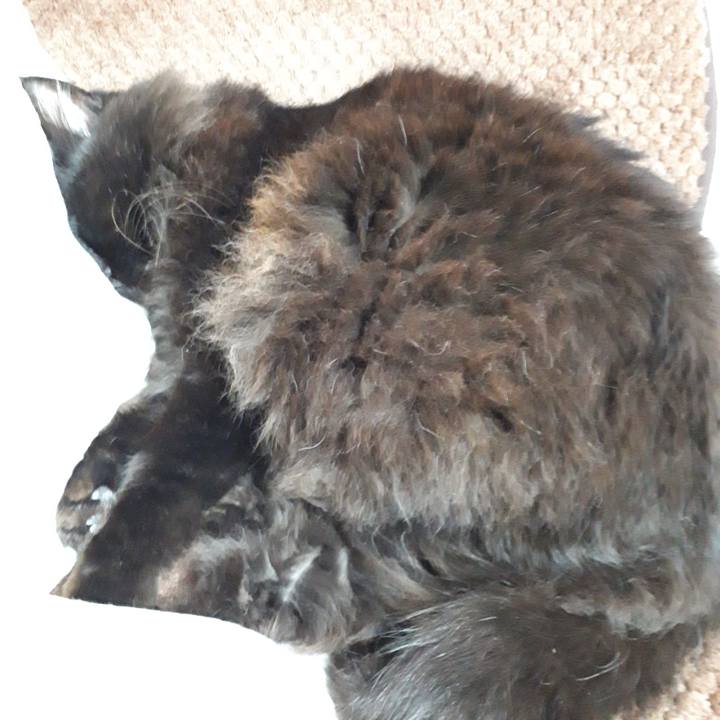 A885efce 7e80 4103 989f 14d68db8a0b2 1518302448866