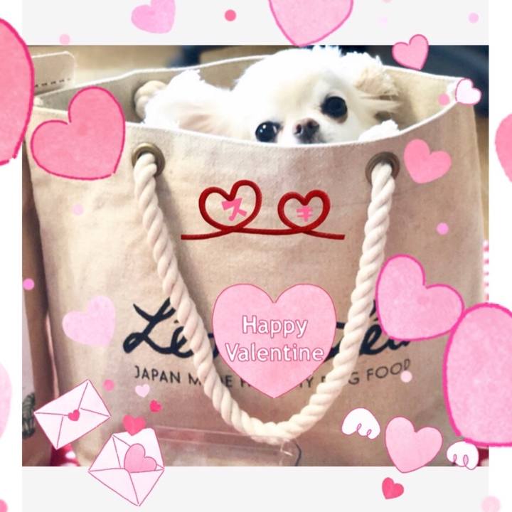 A885f81e 7d63 42d7 89e7 966a9f0ad894 1550153057422