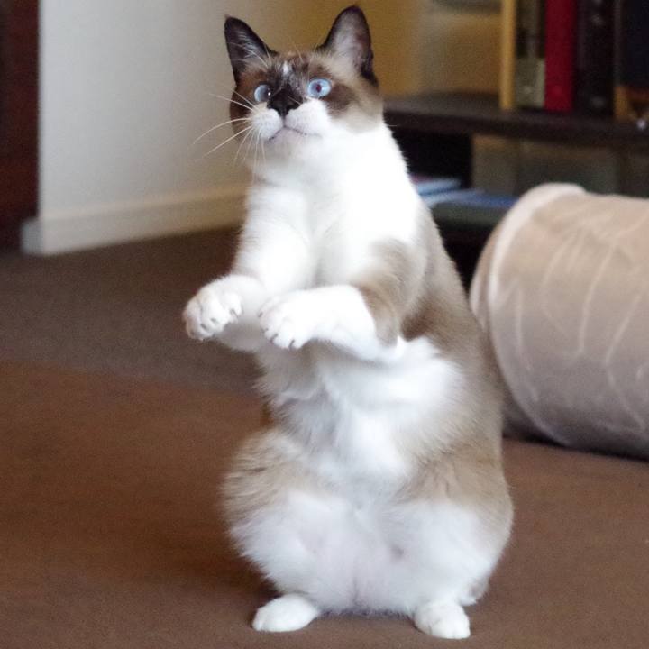 A88656d2 fa51 4147 a456 e7e97f8e995f 1535601014237