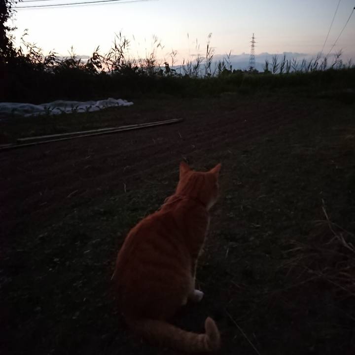 A886582c a2f4 4d34 8c80 77760fc8653a 1568540305445