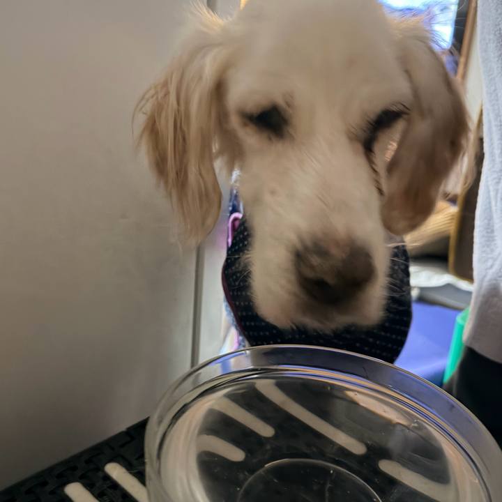 A886850d feb9 4f4c 9a85 0cc0947d180d 1764933624867