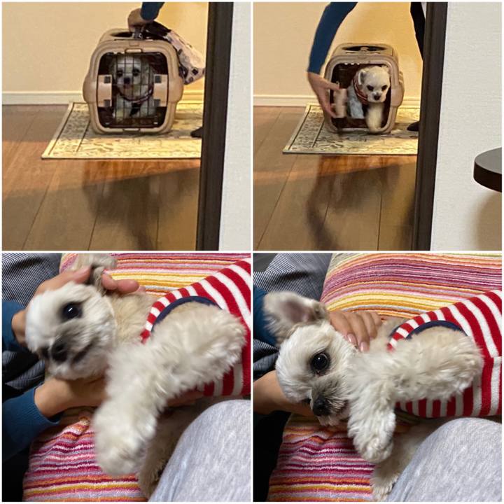 A8868a2c d58d 4056 bdf9 8c8b49445248 1578738424361