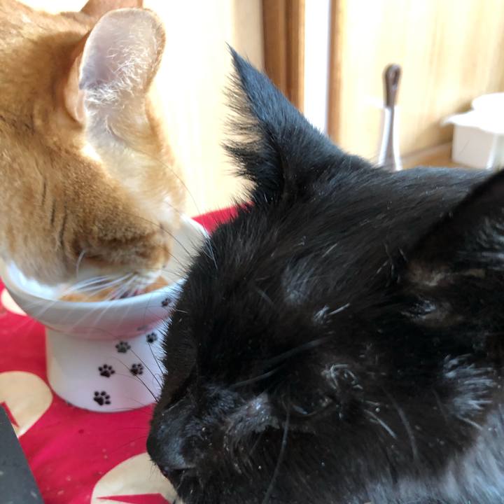 A8868b5e cf0d 4708 88cc 3bf1ff77140f 1647510639806