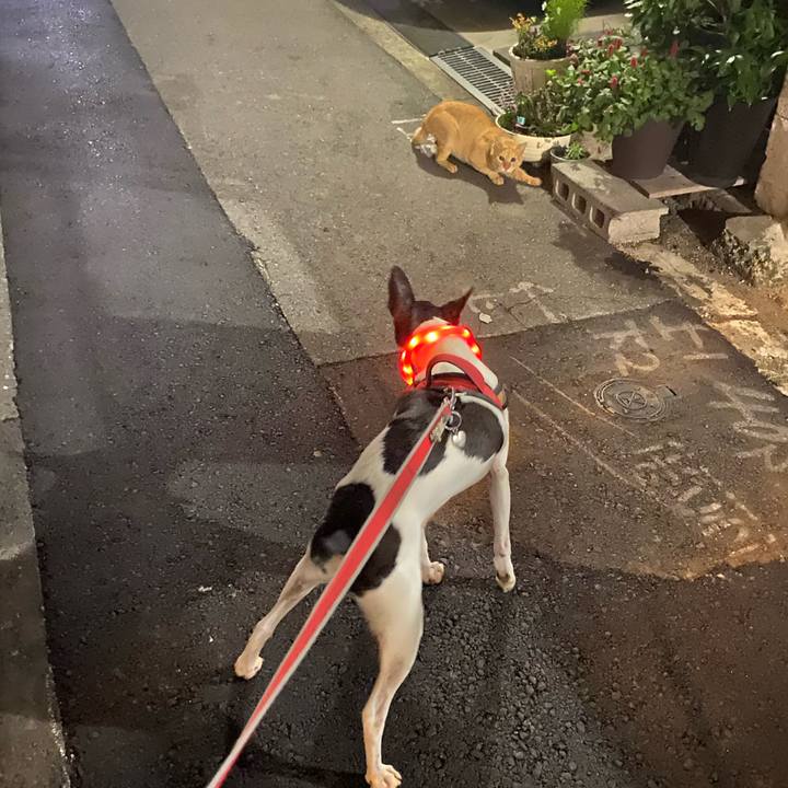 A886a178 6cdc 4ae3 8ac4 7a4c8f43015e 1603885878704