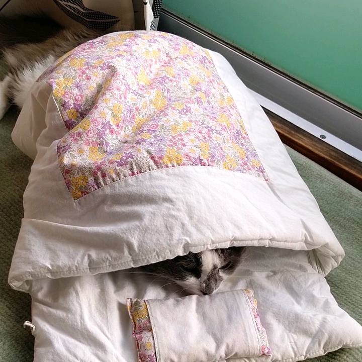 A886ae1f 80d4 40d5 84c5 3ecee1053239 1586214682437