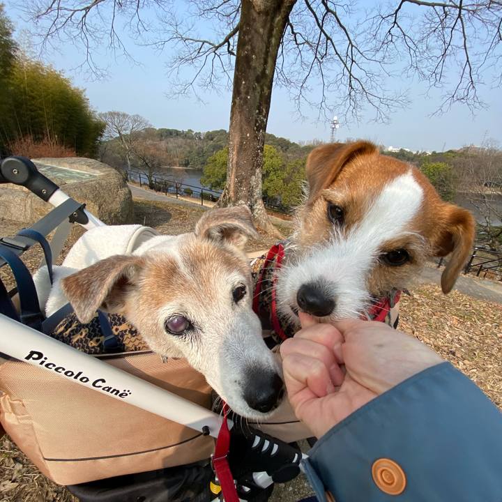 A886ba09 ffe3 4d76 9ffa 0840d7357e5e 1673249396855