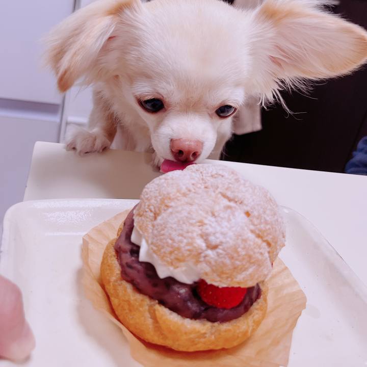 A886ee44 e492 4d5c 8ee4 dc25f2cd2b24 1678760635731