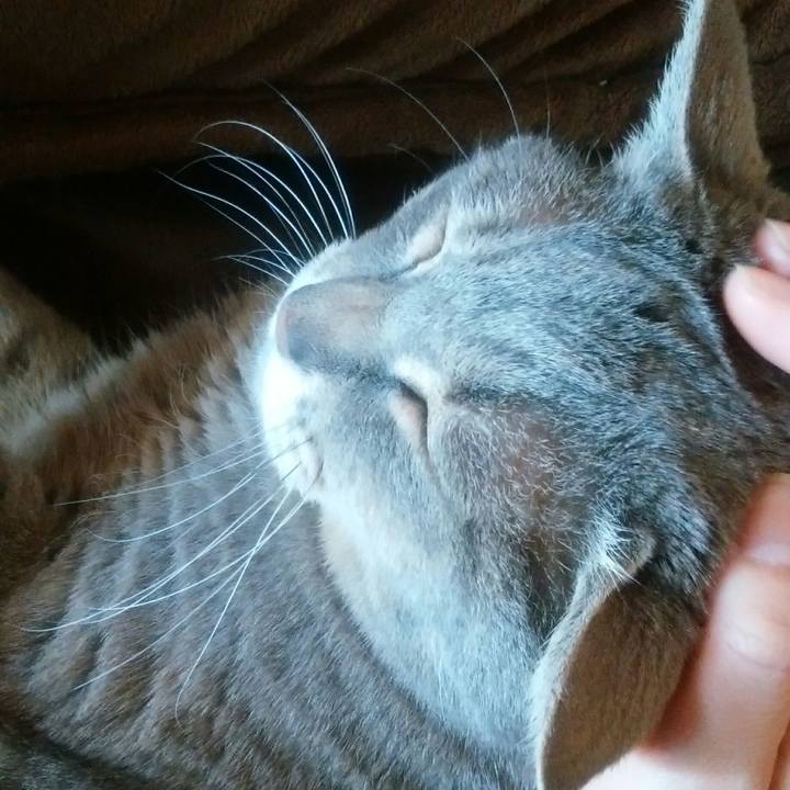 A887252c c347 4228 a10f 38a0f06afc63 1521943906884