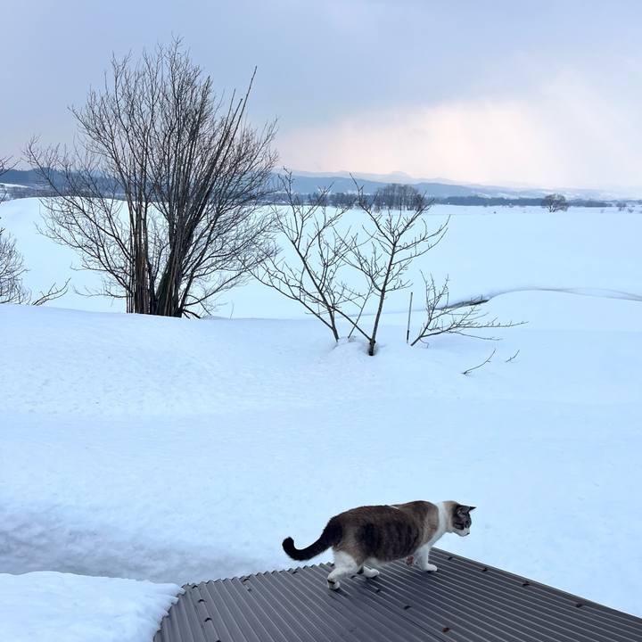 A88740d1 224c 4433 b729 572090d196f7 1770979436955