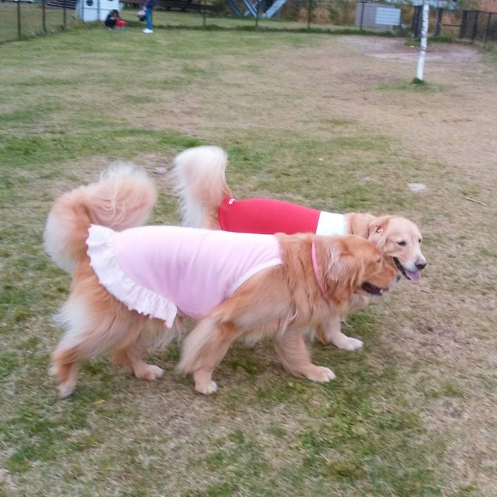 A8874211 d44f 4b65 80d1 6fd851a54a4a 1509346379093