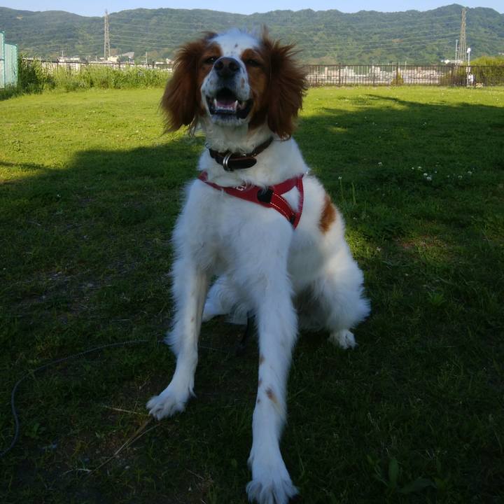 A88768a5 fe35 4afa b416 584625f3a4e4 1526901983773