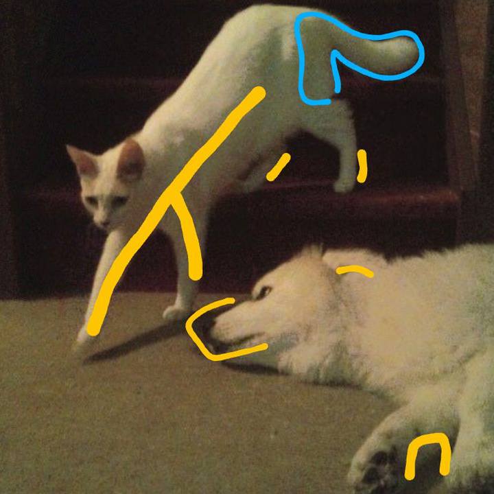 A887722a a0c5 444b af74 dcdbc92c3672 1688084566763