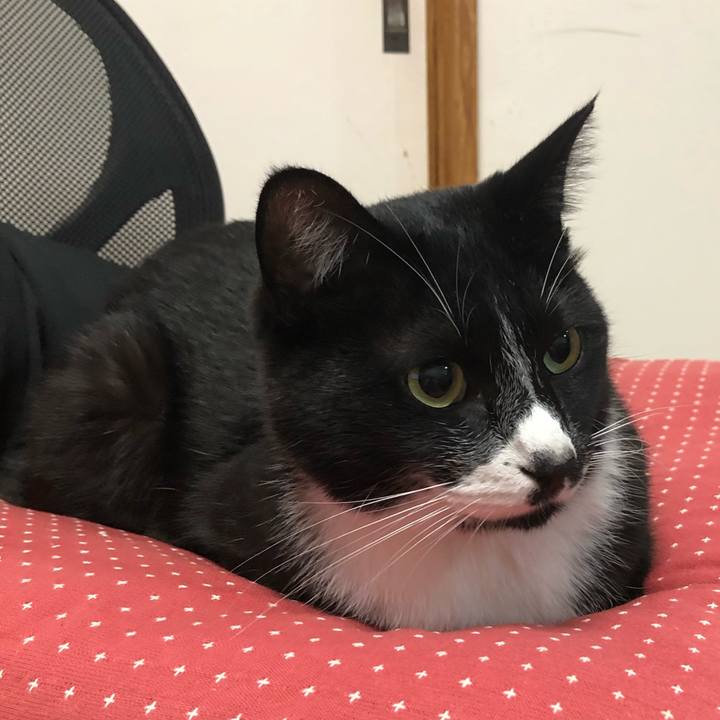 A88778a6 1d0d 4aff 8596 f43048c5f5c4 1572924418344