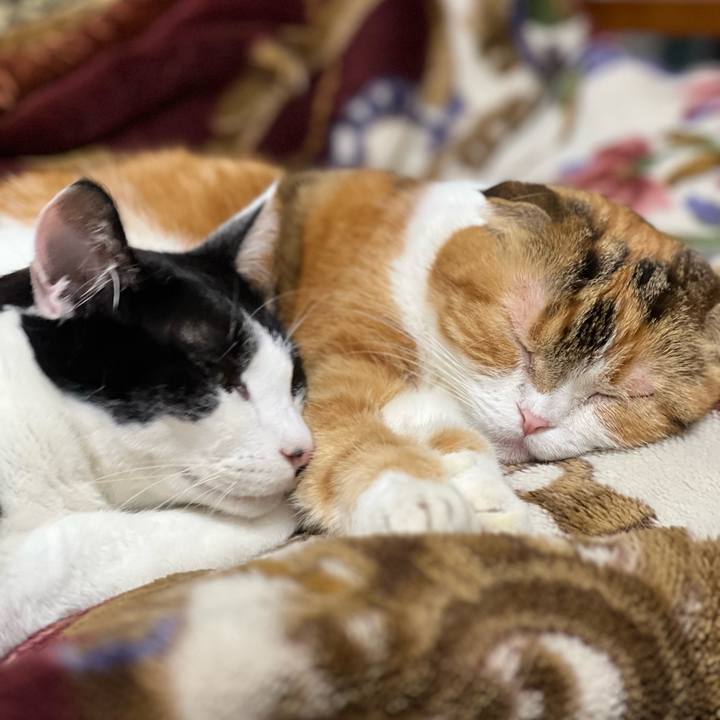 A887a09e 0d2b 476b 8334 727bd98a52a9 1701960845185