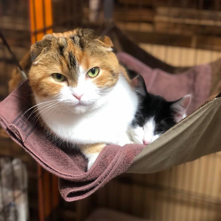 A887ca0c 09e0 4ebf a8e3 2944f9247270 1611744016886