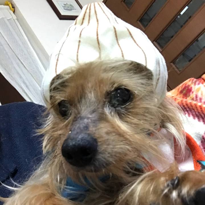 A8882512 9d24 4e9d 9b45 d2ee106b5e1c 1519714218102