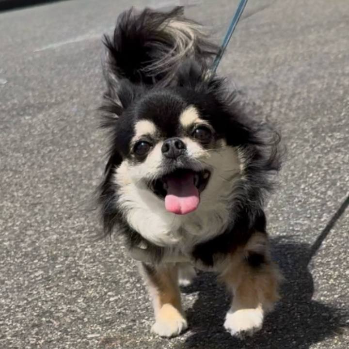 A888371e ab44 4f84 898a eb4fe5bce5a3 1746943855908