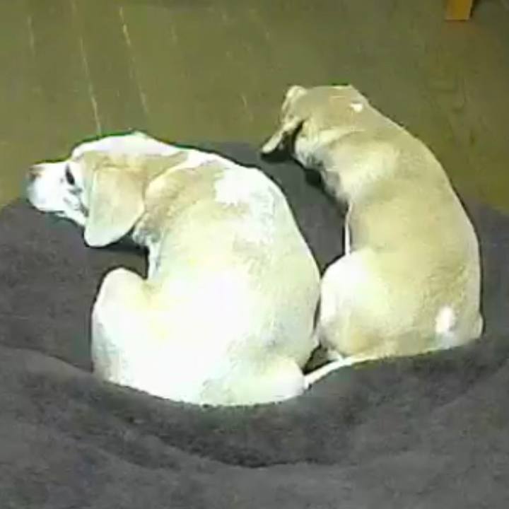 A8883e2d b5eb 45fb 8262 0994c11aff90 1541840516357