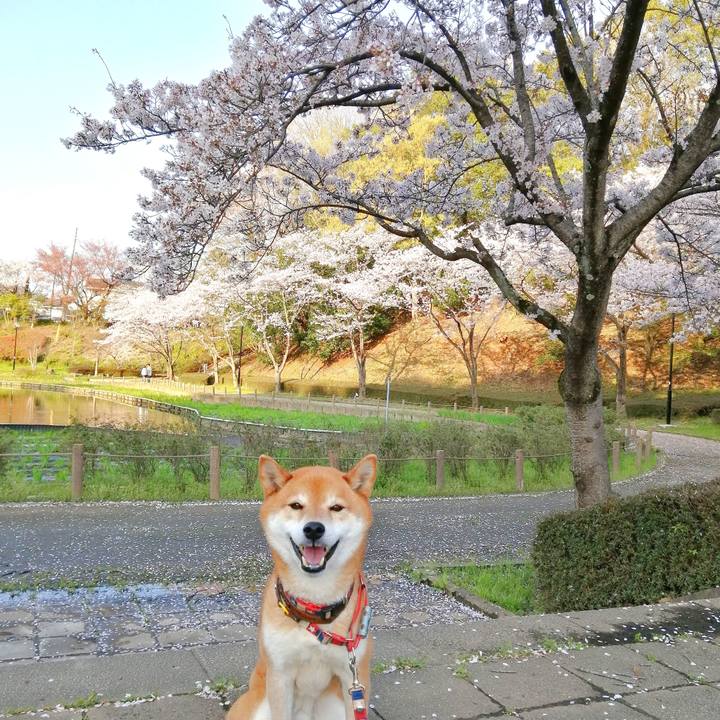 A8885172 e3de 4665 869e 007beec22200 1680077116098