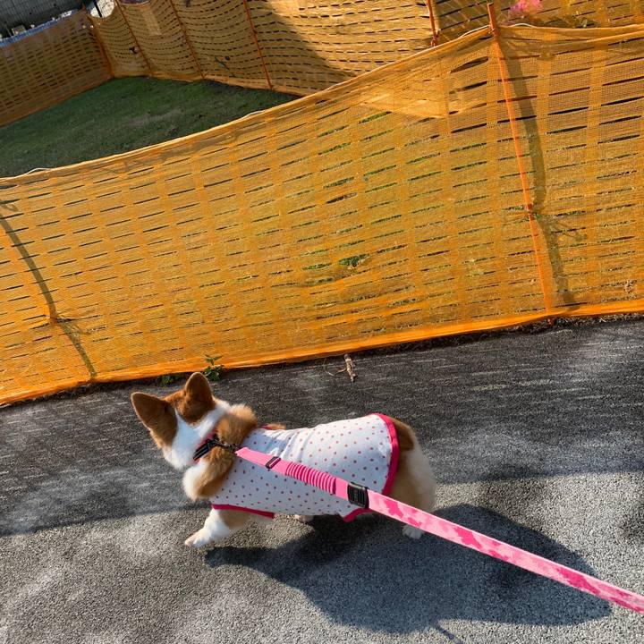 A88881ff c85b 4042 b5bb b7e549efb930 1588117422326