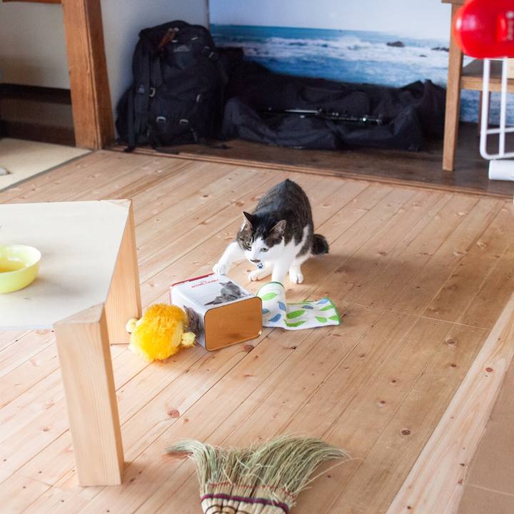 A88885af f97d 4f1f bb80 a168974a7936 1580261101748