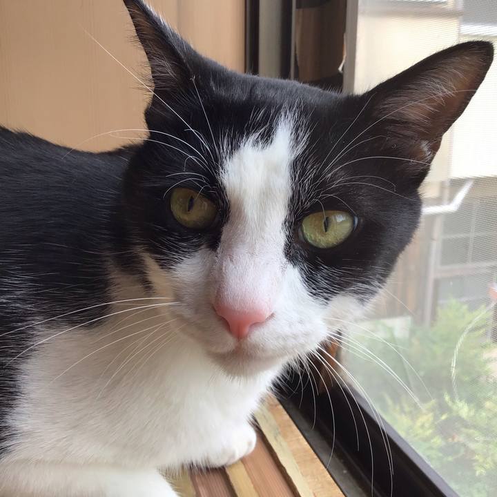 A888ad0f 2ec3 4faa af04 d52cc6bb85ea 1751191039262