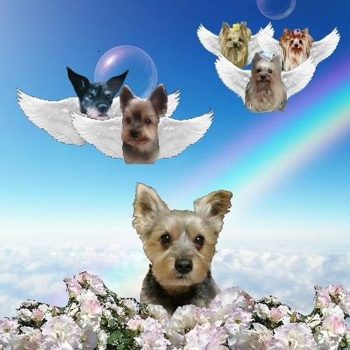 A8890f00 8dd8 482c 90ec 8a3642fcff50 1683328471966